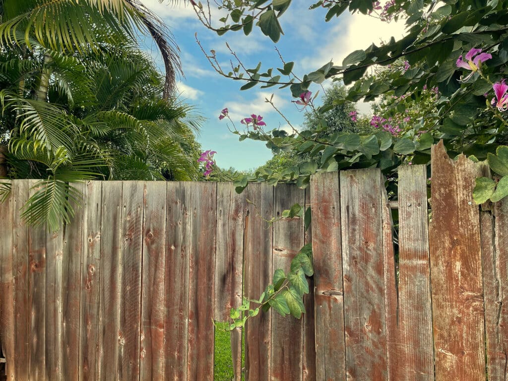 fence panel